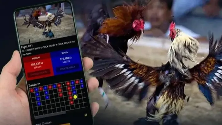 Đá Gà BuBet Hấp Dẫn Không Thể Bỏ Qua Với Trận Đấu Đỉnh Cao 1 Đá Gà BuBet Hấp Dẫn Không Thể Bỏ Qua Với Trận Đấu Đỉnh Cao