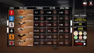 Bí Kíp Thắng Lớn Game Nhanh Đua Chó Tại BuBet Cho Người Mới Chơi